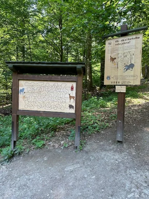 Informační tabule u lesní cesty